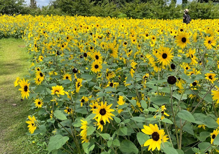 アンデルセン公園