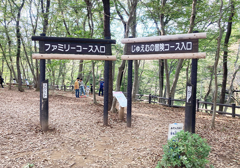 アンデルセン公園　アスレチックコース