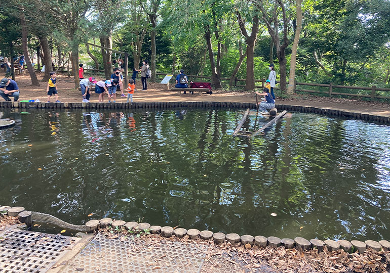アンデルセン公園　池