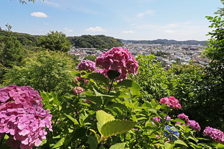 鶴岡八幡宮