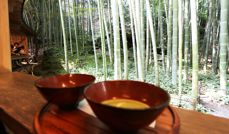 鶴岡八幡宮