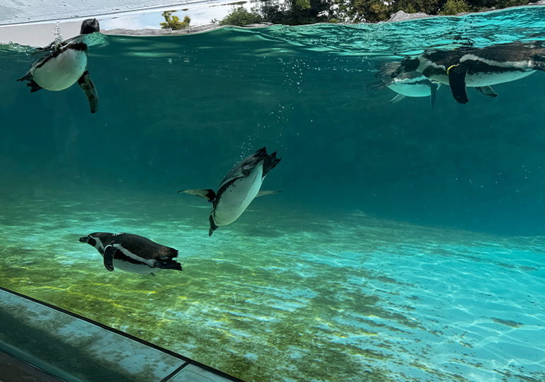 葛西臨海公園　水族館
