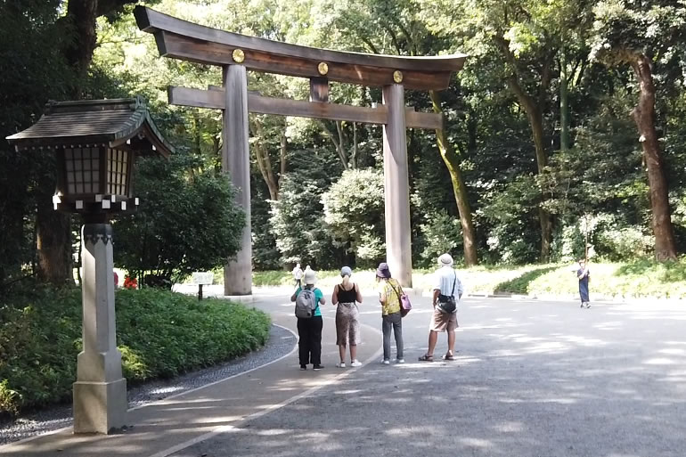 代々木公園の桜