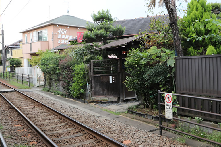 日帰り鎌倉の旅