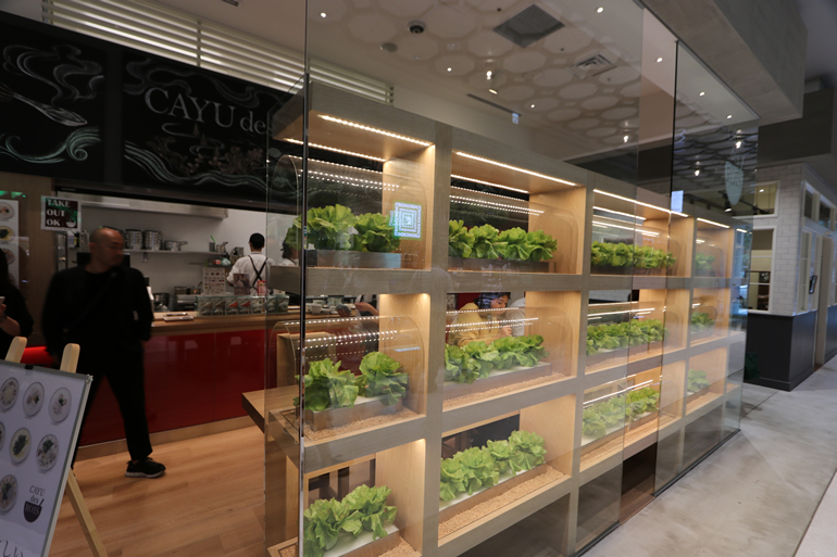 CAYU des ROIS　外観