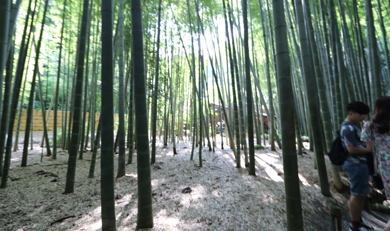 報告寺（竹寺）