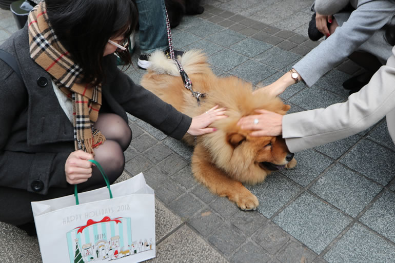 横浜元町ショッピングストリート