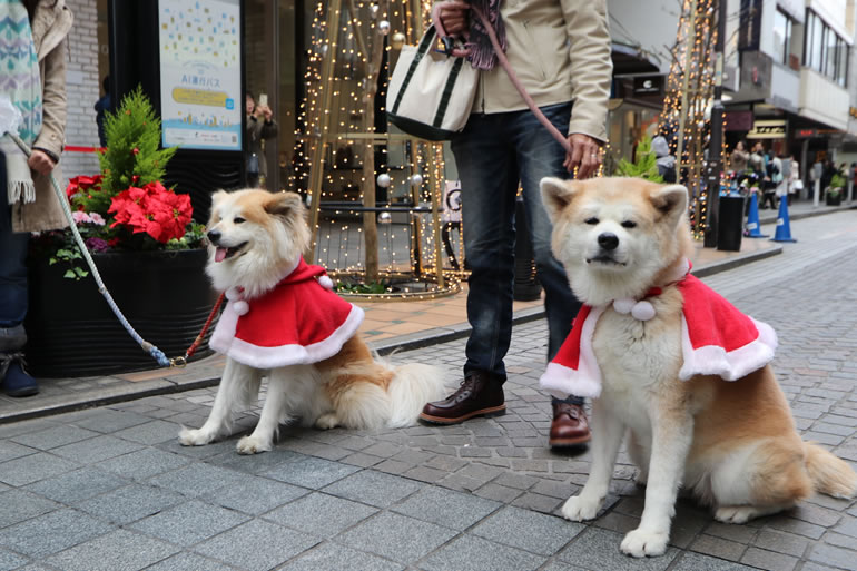 横浜元町ショッピングストリート