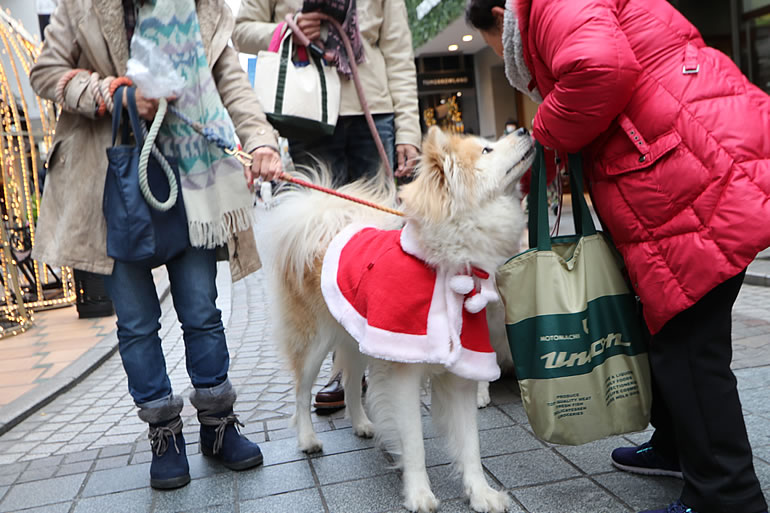 横浜元町ショッピングストリート