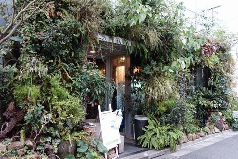 flower&cafe 風花