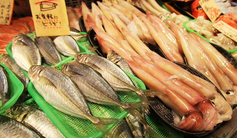 魚力　魚