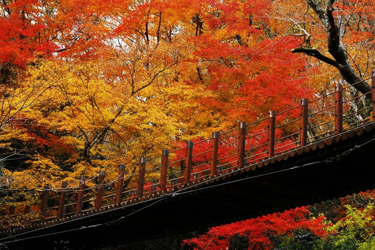 花貫渓谷の紅葉を見に行こう