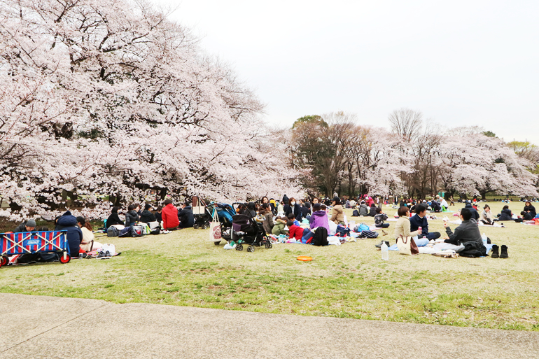 砧公園　出店