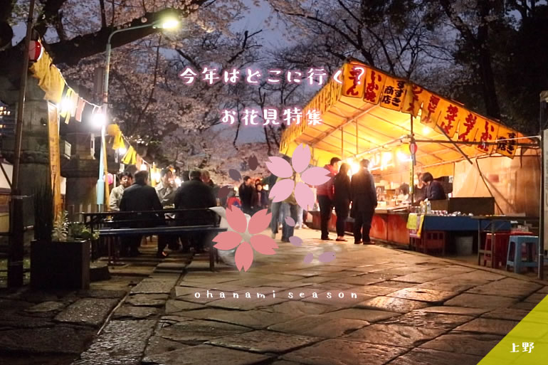 上野公園でお花見