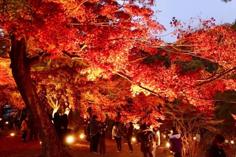 長瀞で紅葉