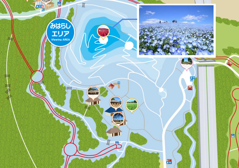 国営ひたちなか公園