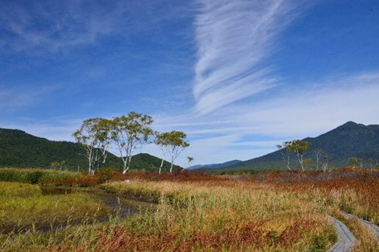 尾瀬(尾瀬ヶ原)の紅葉