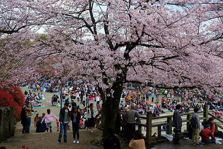 飛鳥山公園