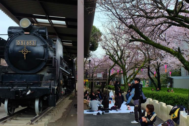 飛鳥山公園