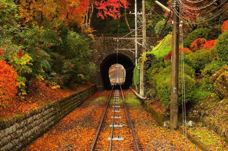 東京にあるオススメ紅葉スポット 高尾山