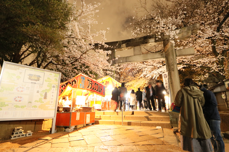 上野公園　花見