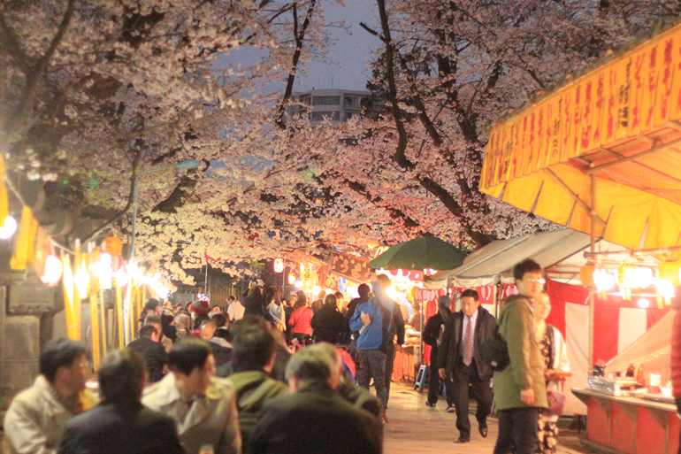 上野公園 夜桜　屋台