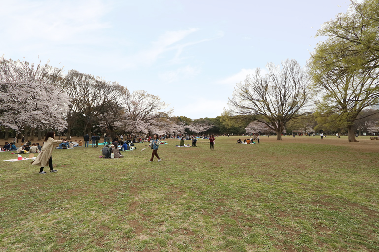 代々木公園　中央広場