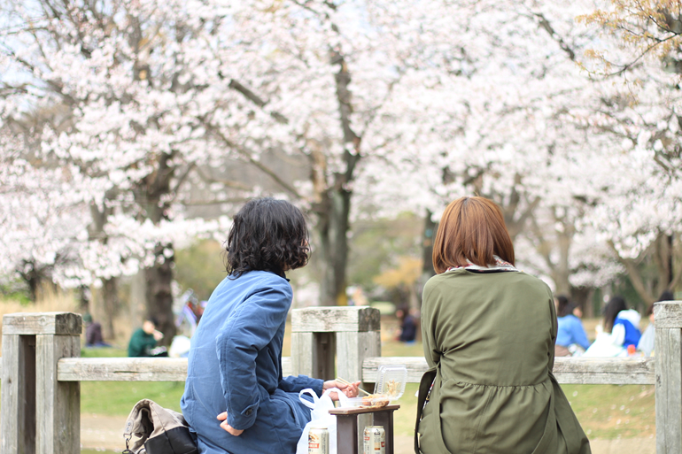 代々木公園でお花見