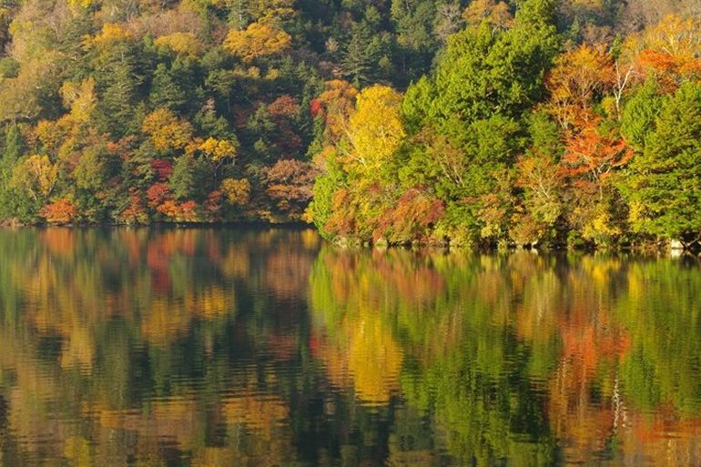 湯ノ湖の紅葉