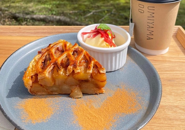 海山堂　シナモンアップルバイ